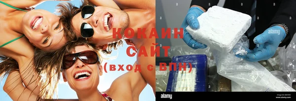прущий лед Алзамай