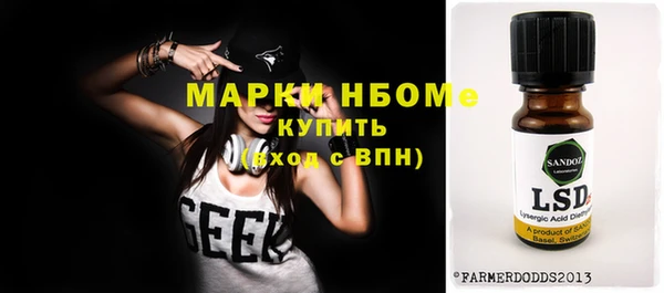 прущий лед Алзамай