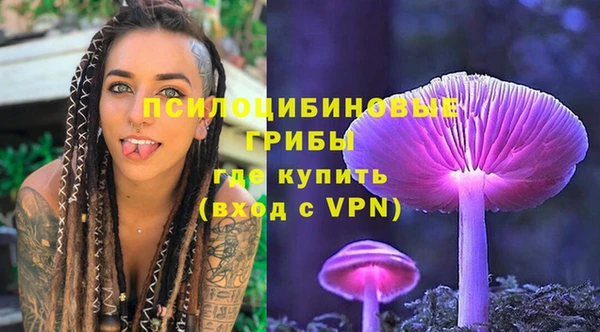 прущий лед Алзамай