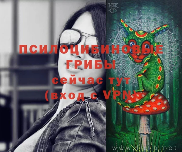прущий лед Алзамай