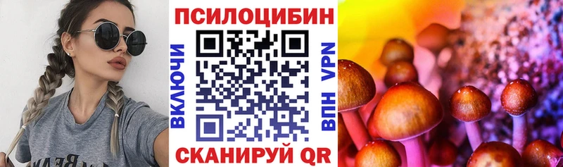 что такое   Дубовка  ссылка на мегу зеркало  Псилоцибиновые грибы Psilocybine cubensis 